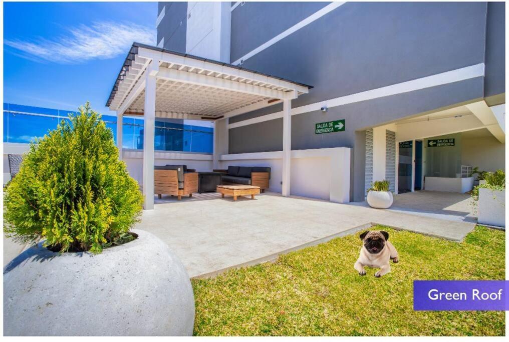 1102 Torre Los Yoses Hermoso Apartamento En Barrio Escalante Sin Parqueo San José Kültér fotó