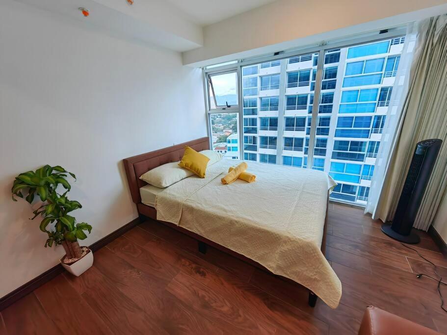 1102 Torre Los Yoses Hermoso Apartamento En Barrio Escalante Sin Parqueo San José Kültér fotó